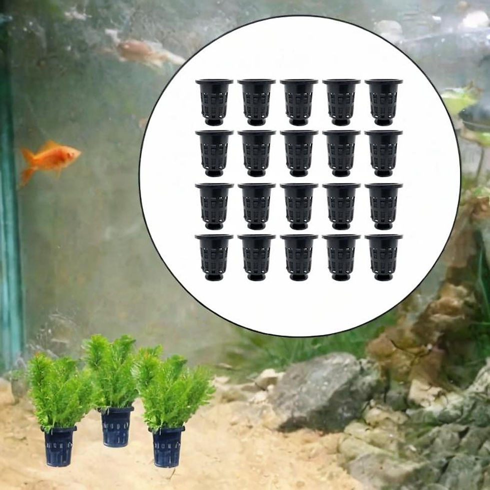 Thumbnail: 20Pcs Net Pots for Hydroponics Compact Bucket Basket Garden Slotted Mesh Net Net