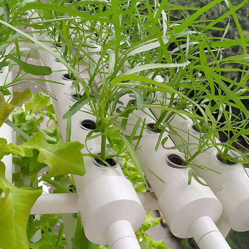Thumbnail: Hydroponics Growing System Vertical Garden Vegetable Planting Equipment Indoor B
