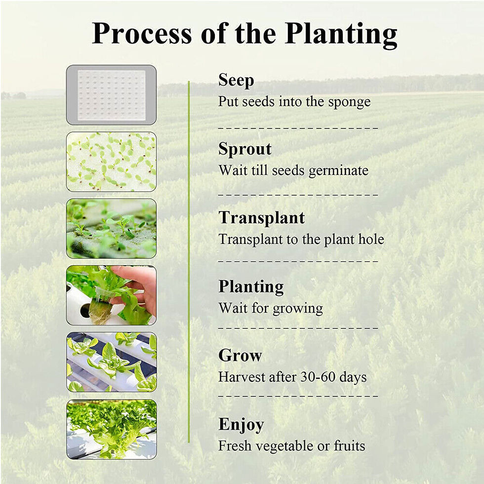 Thumbnail: Hydroponics Growing System Kits 36 Sites Food PVC-Pipe Hydroponic Garden Soilles