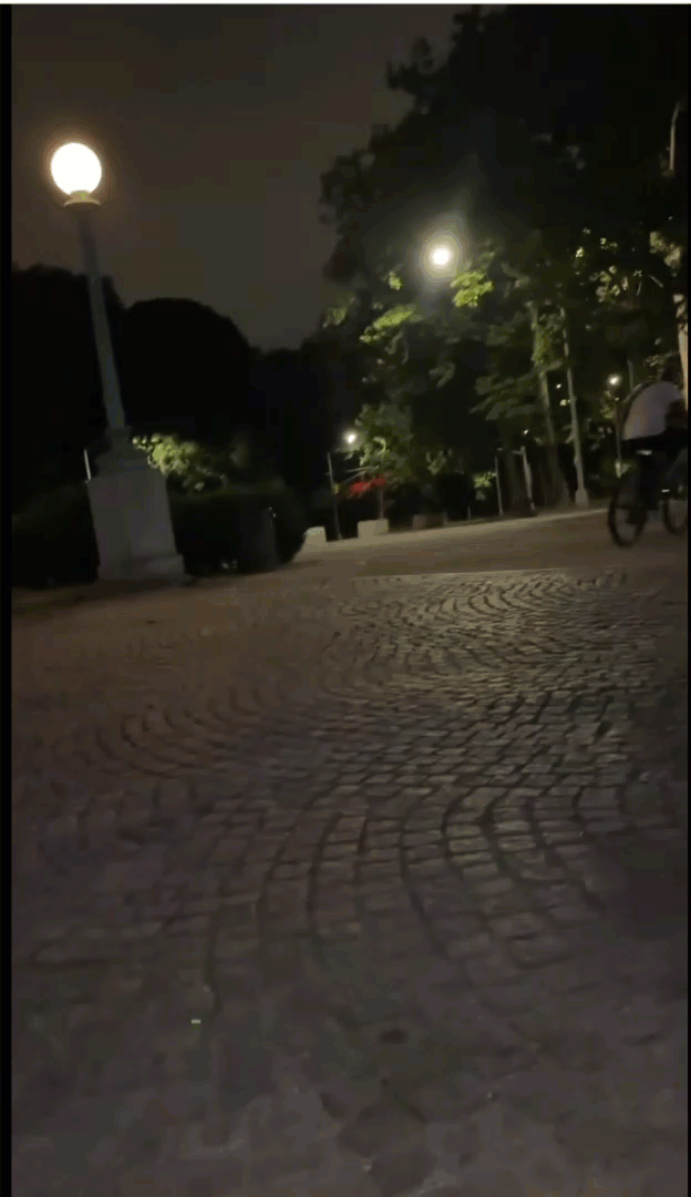 BIKELORDS - WHEELIES GRAND ARMY PLAZA.gif