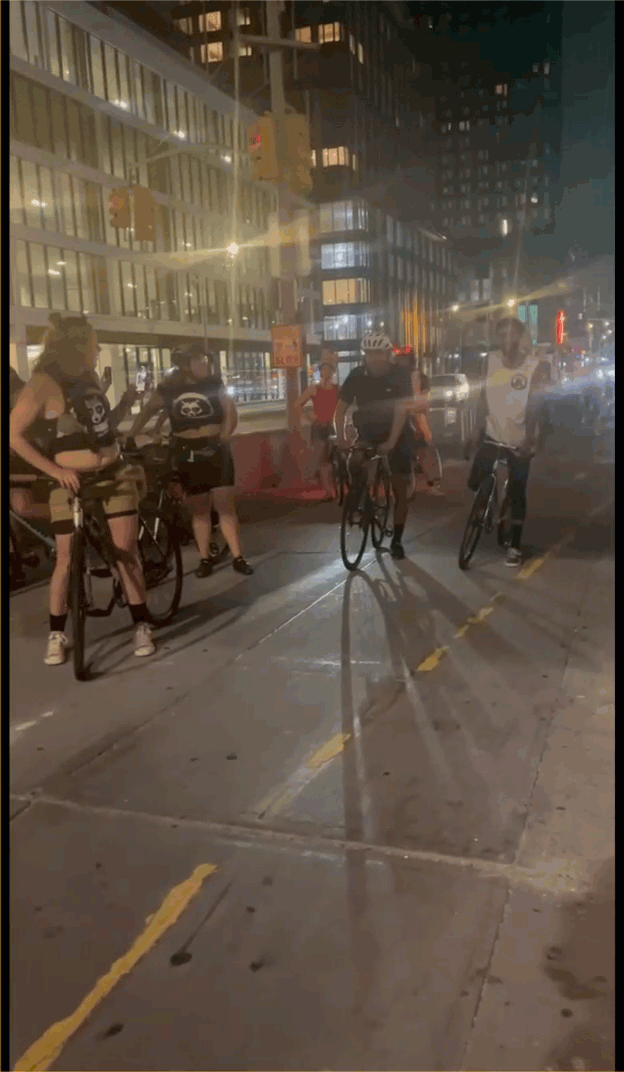 WILLIE B BRIDGE SPRINT EXCERPT.gif