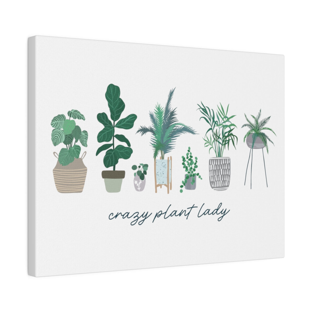 Crazy Plant Lady - Matte Canvas, Stretched, 0.75"