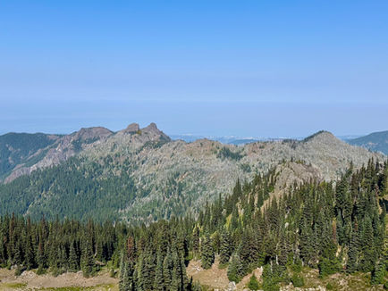 Hurricane Ridge im Olympic Nationalpark