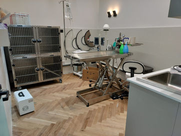 מרפאה וטרינרית ד"ר יוסי מנדל