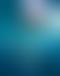 Convocatoria Becas Interdisciplinarias enfocadas a la conservación marina 2026