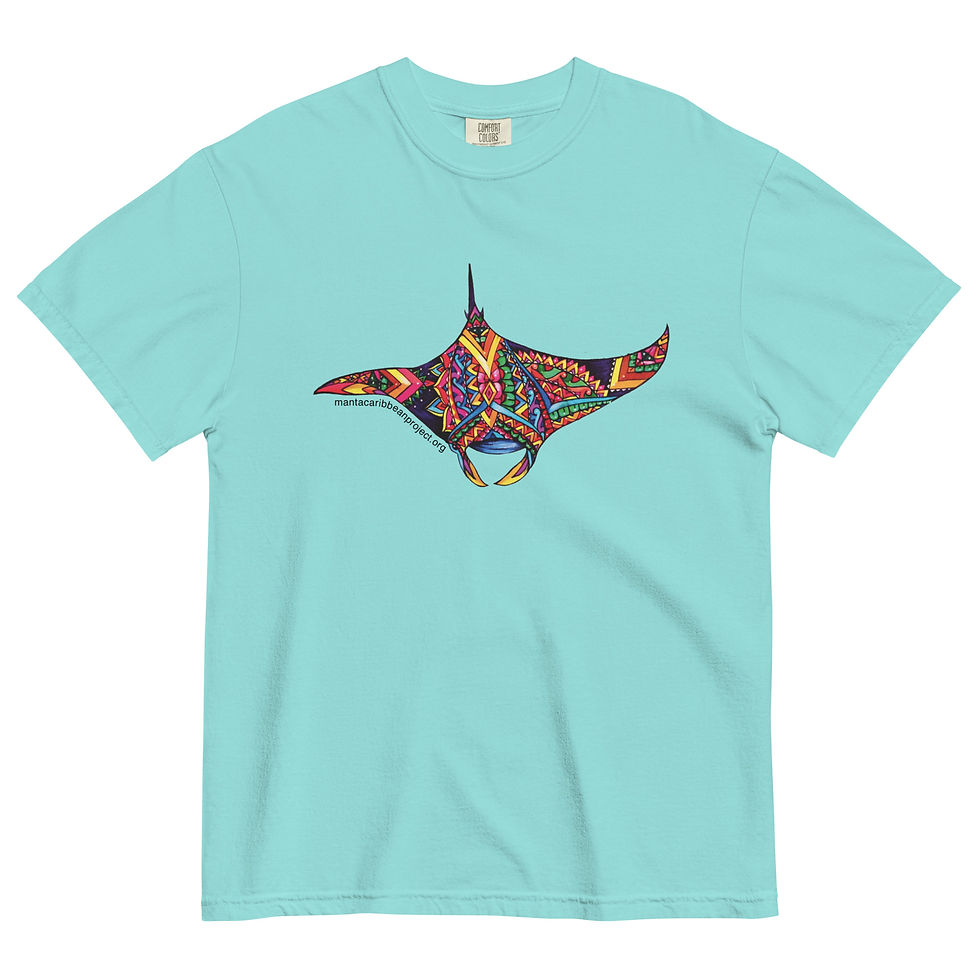 Thumbnail: Unisex Comfort Colors Tshirt