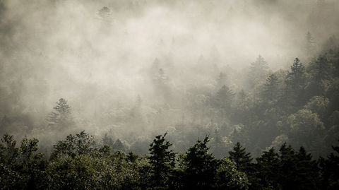 Foggy Mt. Kurodake @kamikawa town
