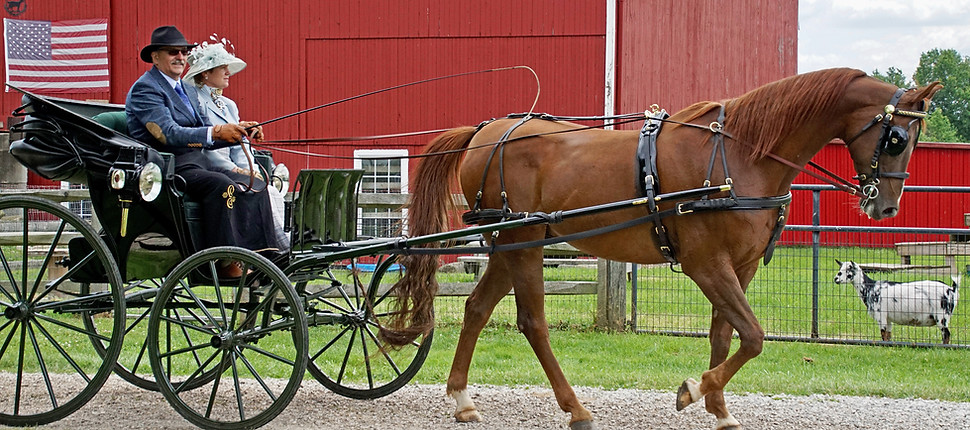 carriage1.jpg