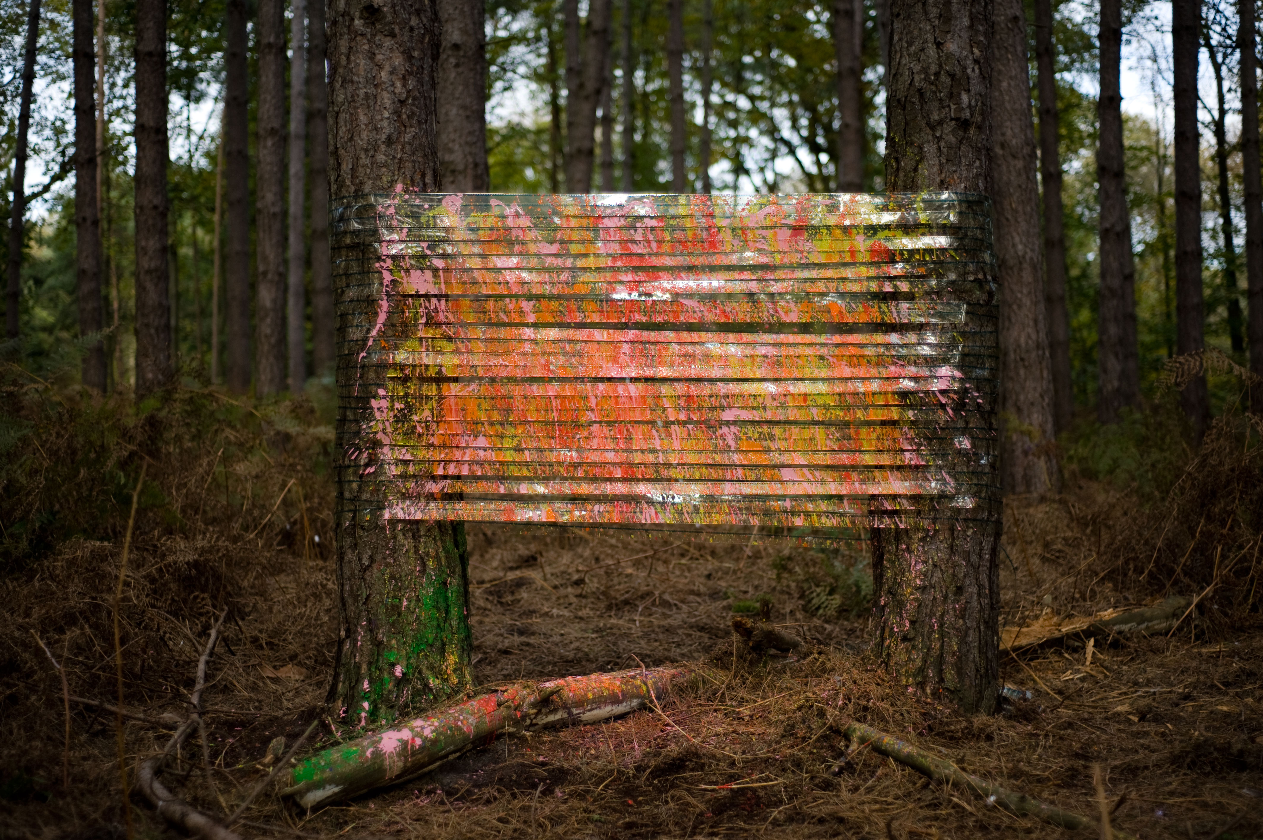 Installation Forêt de Montmorency