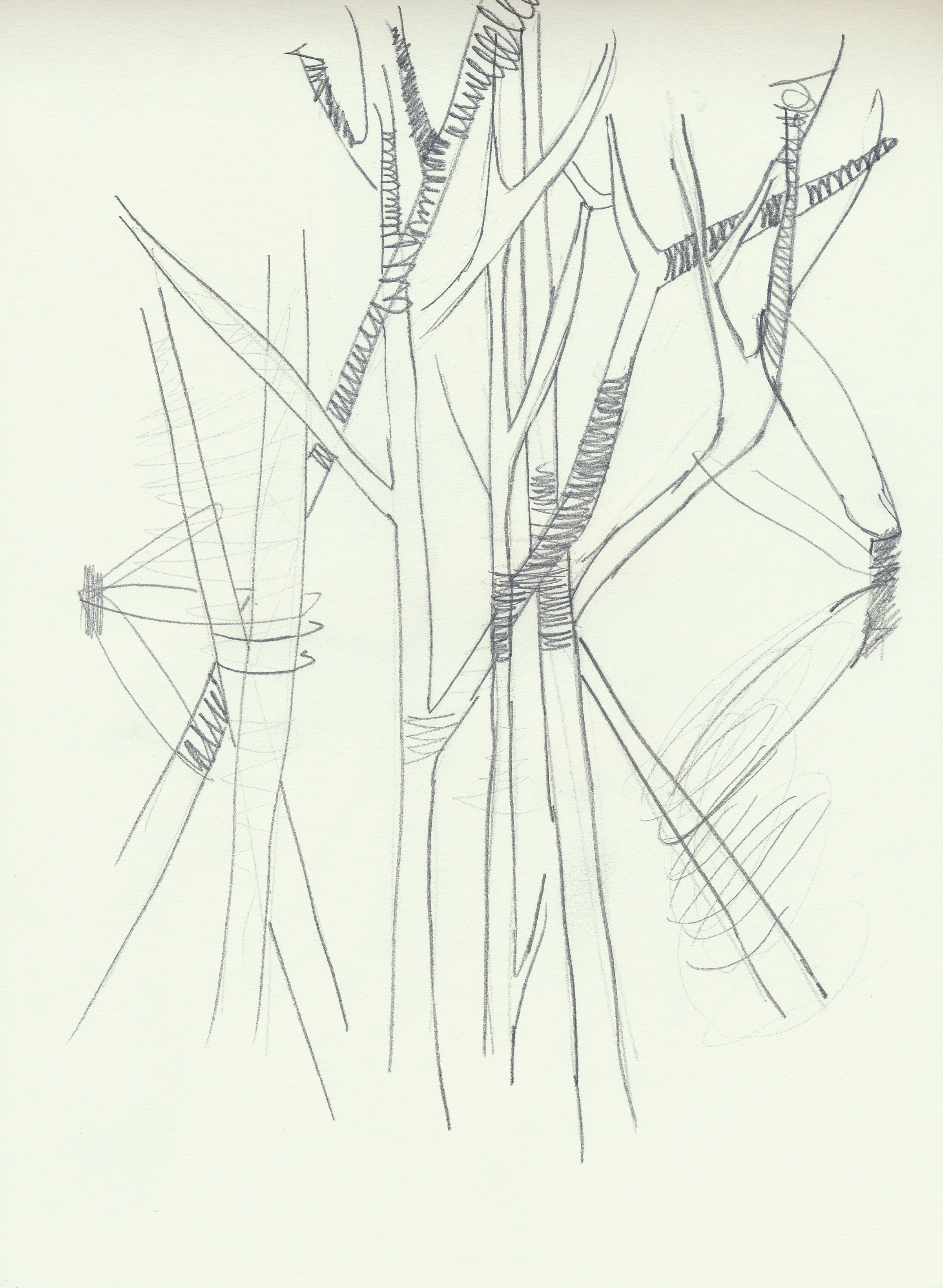 Drawing - Etude Installation in situ