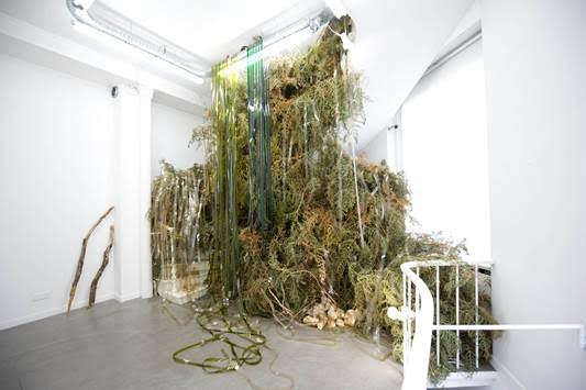 Installation -Forêt de feu 2015
