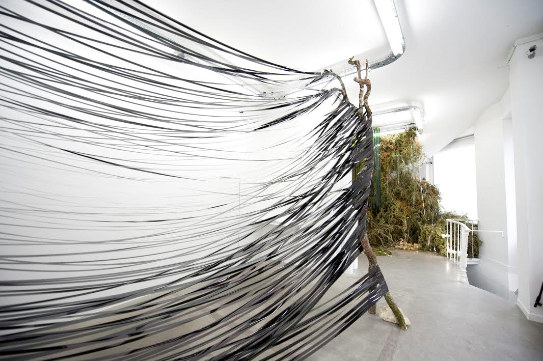 Installations -Forêt de feu 2015