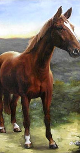 Cavalo_1.jpg