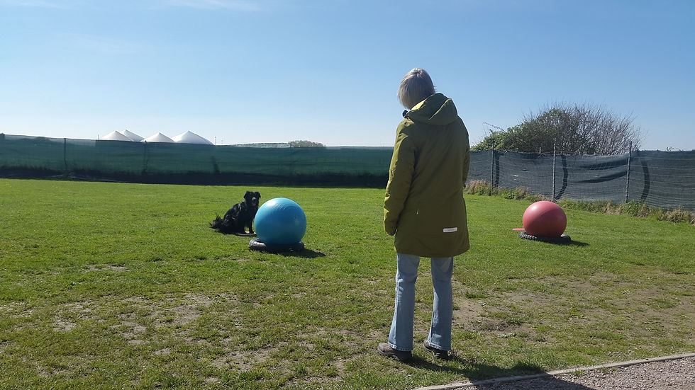 20170511_111250