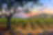 s245384080523340103_p531_i12_w1280.jpeg