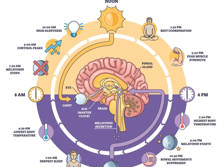 The Circadian Body: Health and Wellness