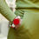 Thumbnail: BRACCIALE ANNETTE