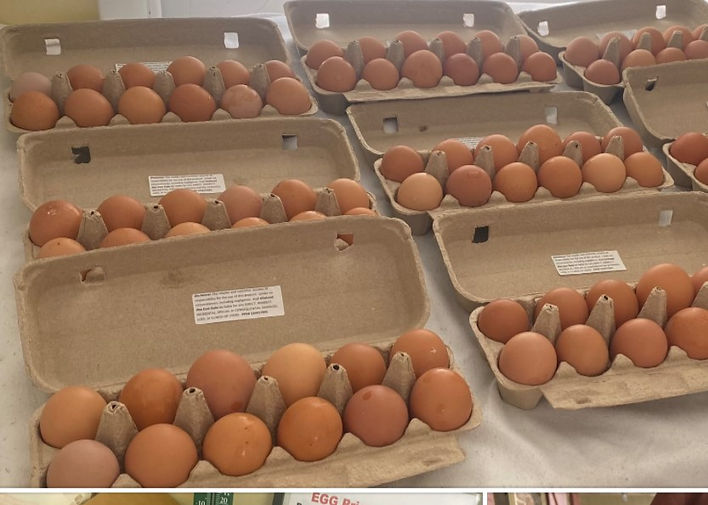 Eggs I.jpg