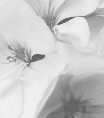Fleur