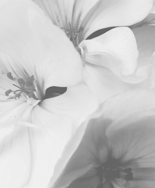 Fleur