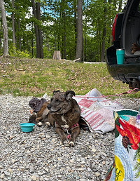 2D562600-0EE3-4F24-B304-C88B9CB38685_edi