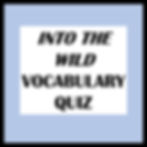 Into the Wild Vocabulary Quiz
