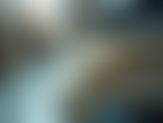 Keep Accounting Records Organized