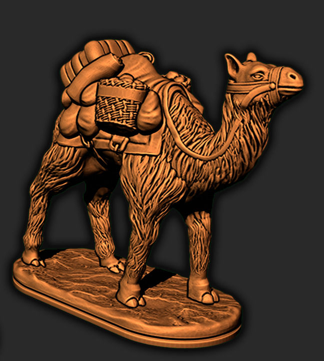 Thumbnail: Camels