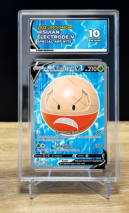 p_electrode_2.png