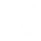 bienestar.png
