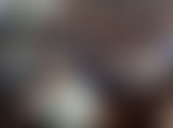 Conselho realiza última reunião de 2025