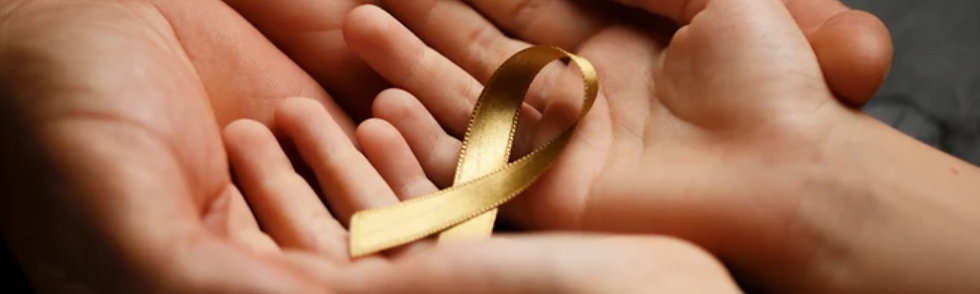 La communauté de donateurs