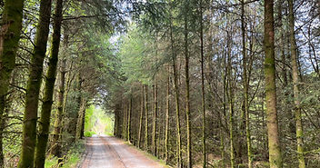Woodland Ownership in the UK