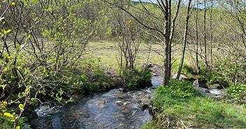 Woodland Ownership in the UK