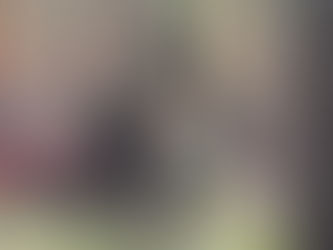 Woodland Management Plans: What You Need to Know