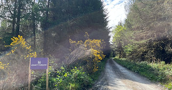 Woodland Ownership in the UK