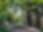 Forest Ownership