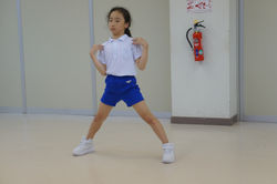 DSC00234