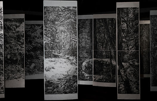 Les-lisieres-4-1024x529 TH.jpg