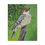 Thumbnail: Red Bellied Woodpecker painting -Canvas Gallery Wrap