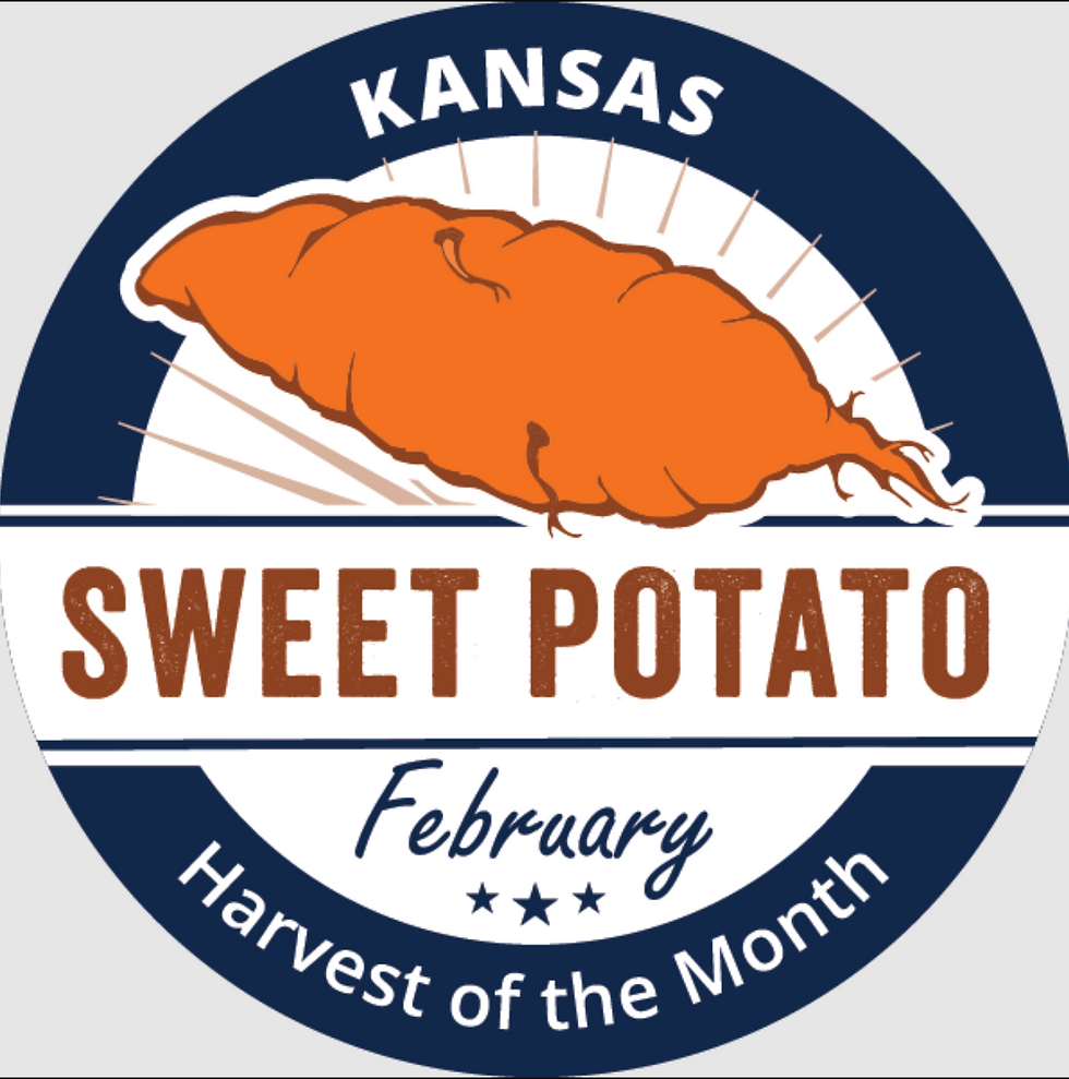 February Harvest of the Month- Sweet Potato