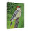 Thumbnail: Red Bellied Woodpecker painting -Canvas Gallery Wrap