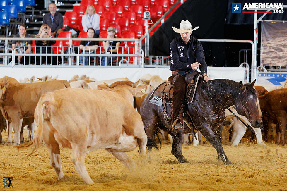 western ridning clinic