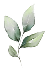 s (31).png