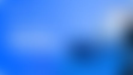 Investor Protection at Shipfinex