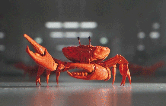 crab-clamp.gif