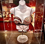 Helen wop bra 4.jpg