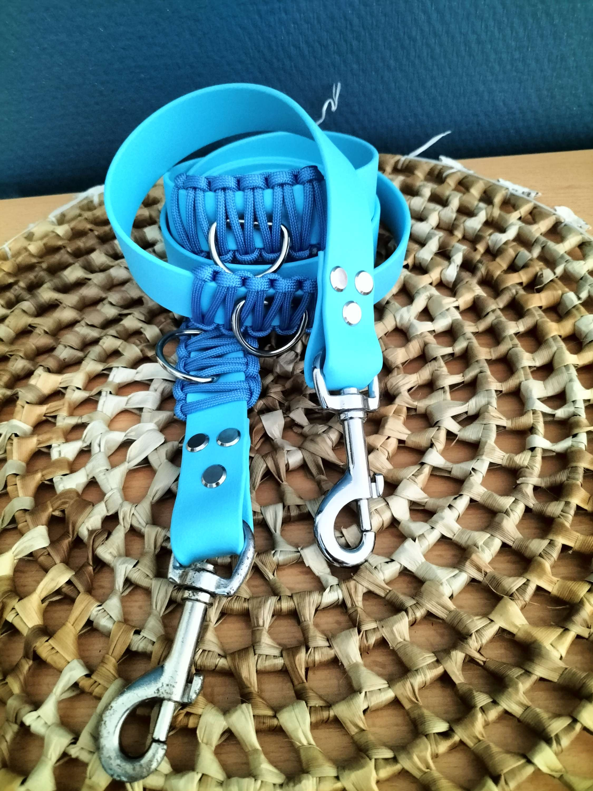 Laisse Biothane Multiposition (3M)