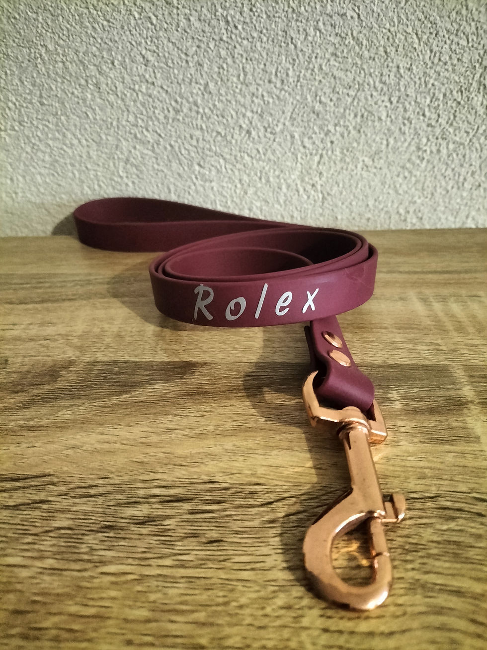 Laisse Simple en Biothane