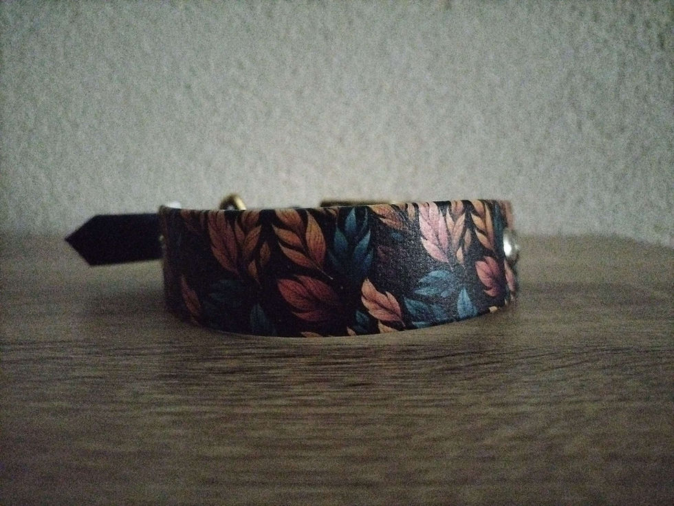 Miniature : Collier Biothane Imprimé Personnalisé XL
